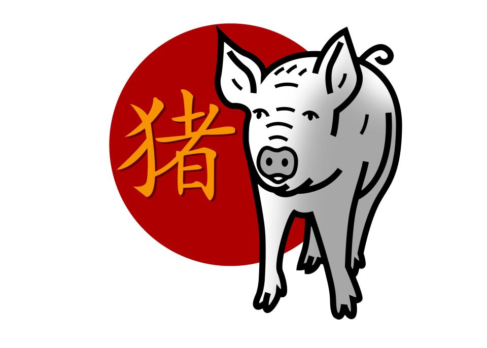 chinese-year-of-the-pig