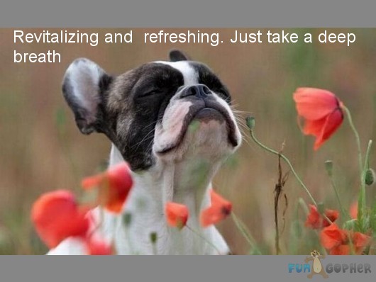 Breathe