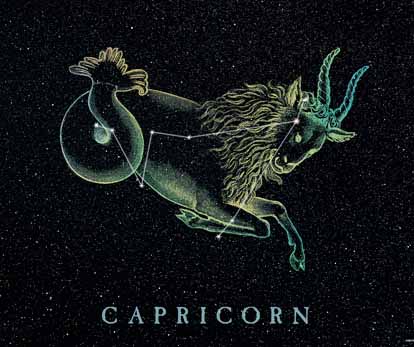 Capricorn Stars