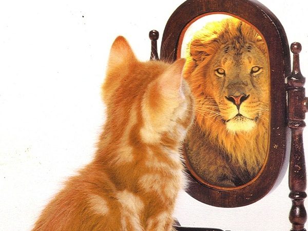 Perception