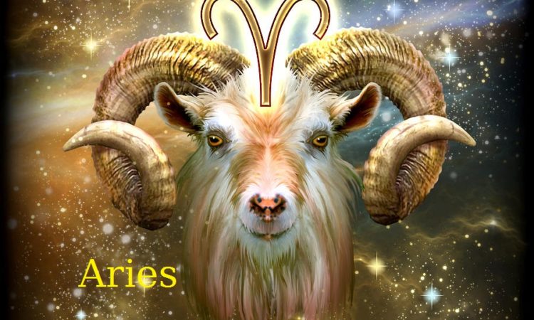 Aries History