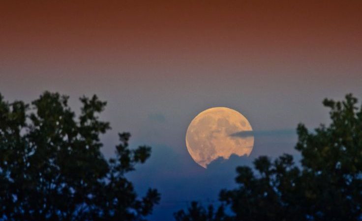 Moon of Serendipity