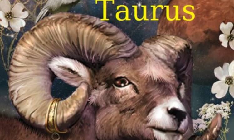 Taurus September 2019 Horoscope Daily Astrology astrology and spirituality secret serendipity