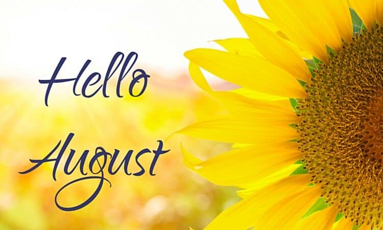 august-s-spiritual-meaning-within-astrology