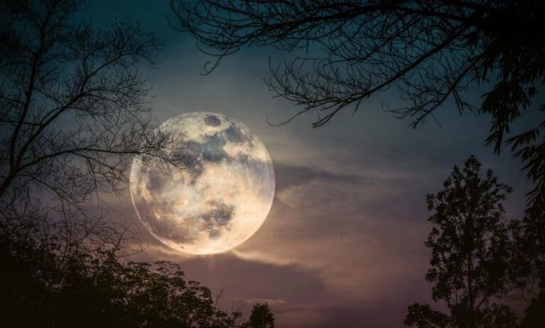 March 9th 2020 Full Moon, Super Moon – A Time of Lunacy!