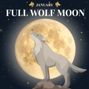 January 2023 Full Moon in Cancer