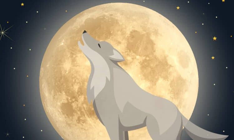 January 2023 Full Moon in Cancer